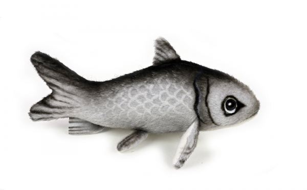 kleiner Hering (Sprotte) ca. 12 cm